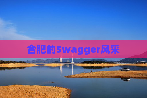 合肥的Swagger风采